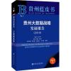 贵州大数据战略发展报告(2019) 2019版
