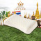 皇家梵卡（ROYAL VANKA）泰国进口天然乳胶枕头 颗粒按摩护颈枕蝴蝶型助睡眠橡胶记忆枕芯 57*37*10cm 蝶形平面透气枕（57*37*10cm）