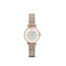 阿玛尼（ARMANI）欧美品牌 运动休闲时尚简约女士手表AR1926 玫瑰金银色
