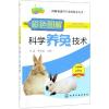 彩色图解科学养兔技术/图解畜禽科学养殖技术丛书