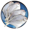 纯色本味 舟山三去鲳鱼 白鲳 400g/袋 （去腮去鳞去内脏） 海鲜水产