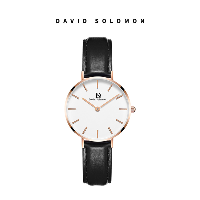 David Solomon女士手表石英表优雅时尚简约女表圆盘指针手表腕表 白面黑色皮质 白面黑色皮质