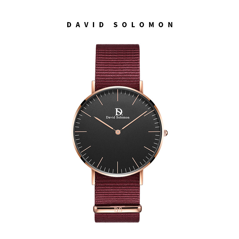 David Solomon手表休闲时尚简约女式手表 红色经纶黑面 红色
