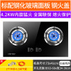 喜儿(xier)(液化气)XB202Y燃气灶双灶家用嵌入式台式两用炉具节能猛火灶