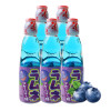 日本进口 哈达 波子汽水蓝莓味碳酸饮料 200ml*5瓶