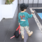 迪鲁奥（DILUAO)男童长袖T恤棉潮服儿童黑色打底衫宝宝春秋装上衣 绿色Qctx9020 90码约2-3岁身高90cm左右