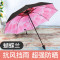 小 黑伞太阳伞女防晒遮阳伞防紫外线黑胶女神折叠晴雨伞两用 落樱