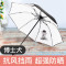 小 黑伞太阳伞女防晒遮阳伞防紫外线黑胶女神折叠晴雨伞两用 博士犬