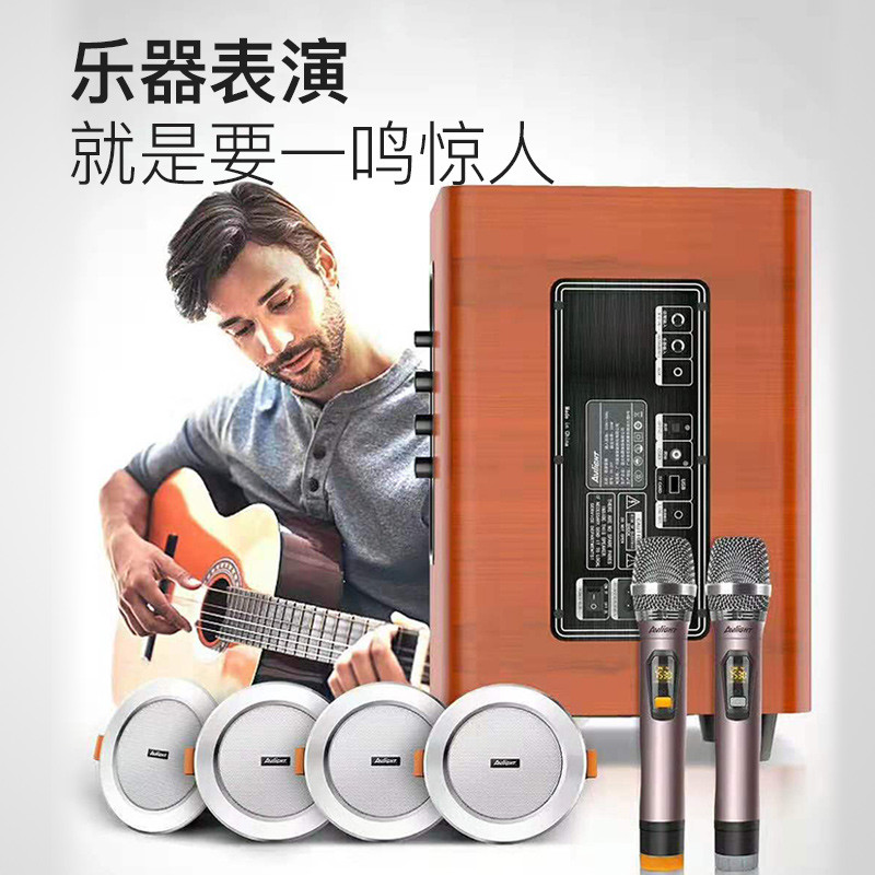 爱浪（Avlight） CK-205T钢琴漆吸顶式2.1娱乐影院箱KTV音响套装电视音响HIFI级音效