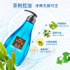 滋源(seeyoung)茶树控油清屑精油洗发水400ml