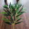 仿真植物葵叶芭蕉叶观音莲龟背竹叶子大装饰室内防真植物装饰绿植盆栽 扇葵叶深色（10片）