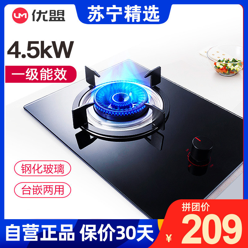优盟ZJ005G 天然气（4.8kW+防烫）