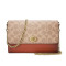Coach/蔻驰 女包老花翻盖链条斜挎包奢侈品包包67161 拼色
