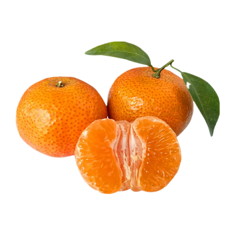 新鲜水果橘子 象州砂糖桔子图片,高清实拍图—苏宁易购