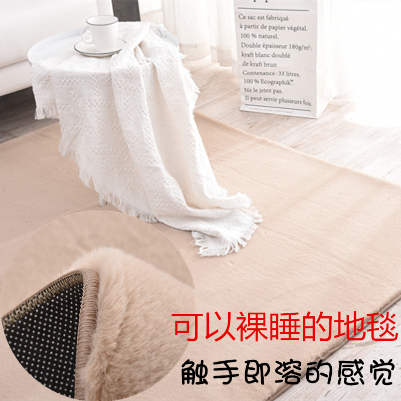定制纯色长毛绒可以睡觉的地毯卧室客厅茶几床边满铺ins地垫北欧