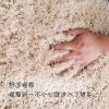 客厅地毯茶几毯北欧现代简约加厚免洗家用特厚款沙发卧室毛毯地垫_580 1600MM×2300MM 黑白色