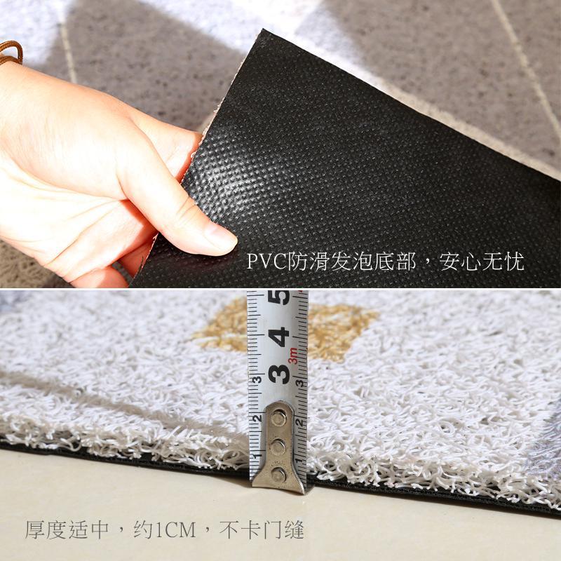 【厅】北欧地垫丝圈进地垫入户口地毯家用垫定制裁剪脚_408