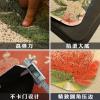 进丝圈地垫入户垫卫浴防滑地毯家用入厅阳台脚垫口垫子_1_668 60*90cm 红莲