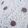 地垫垫进可裁剪入户防滑卫生间吸水客厅口家用厨房脚垫地毯_2 120*140cm【可裁剪无压边】 红花绿叶