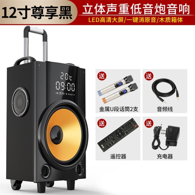 递乐Q26广场舞音响户外演出带无线话筒便携式移动拉杆音箱12寸大功率音量套装（金属U段话筒2支 音频线 遥控器 充电器）