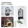 鹦鹉鸟笼虎皮玄凤八哥文鸟豪华别墅繁殖圆笼大号金属不锈钢鸟笼子_1 欧洲艺术圆笼大号白+草窝+喂水器+七彩吊桥爬梯+七彩秋千+磨