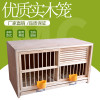 鸽具信鸽巢箱配对笼赛鸽巢鸽子配对笼巢箱实木鸽子笼鸟笼打笼_950 避光门90*45*50