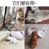 狗盆狗碗猫碗双碗自动饮水食盆狗狗碗猫咪水碗防打翻饭盆宠物用品_5 自动续水双碗（通用） 古粉红色