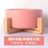 猫碗双碗陶瓷狗碗猫咪食盆饭盆狗狗喝水猫粮碗宠物用品实木防打翻_2 碗直径15.5cm碗深6.8cm 樱花粉单碗+竹木底座2件拍组合46.6元