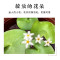 圆鱼缸小型桌面创意玻璃睡莲圆形水培植物金鱼缸一体水养家用造景_1 默认尺寸 小号玻璃缸裸缸【14cm】