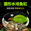 圆鱼缸小型桌面创意玻璃睡莲圆形水培植物金鱼缸一体水养家用造景_1 默认尺寸 中号玻璃缸裸缸【19cm】