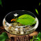 圆鱼缸小型桌面创意玻璃睡莲圆形水培植物金鱼缸一体水养家用造景_1 默认尺寸 中号玻璃缸裸缸【19cm】
