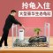 乌龟缸大型鱼宠物龟养乌龟专用水龟饲养箱特大号超大家用养龟大号 默认尺寸 52cm特大号豪华款：套餐一