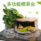 乌龟缸带晒台玻璃别墅养龟的专用缸鳄龟中型特大型鱼缸家用水陆缸_2 默认尺寸 42cm中号：微景观套餐一
