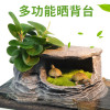 乌龟缸带晒台玻璃别墅养龟的专用缸鳄龟中型特大型鱼缸家用水陆缸_2 默认尺寸 66cm特大号：微景观套餐二