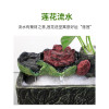 乌龟过滤器鱼缸顶滤盒水幕式顶滤上过滤盒鱼缸上置外置壁挂式自制 默认尺寸 ※小号裸盒+滤材包+水泵+绿萝