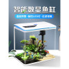 免换水生态鱼缸小型水族箱自循环客厅金鱼智能懒人家用创意带氧气 默认尺寸 YGD-400【桃园别墅】送礼包
