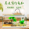 养龟的专用缸养乌龟缸龟生态玻璃水陆金鱼缸小型免换水别墅箱家用_1 默认尺寸 特大号豪华款：套餐二