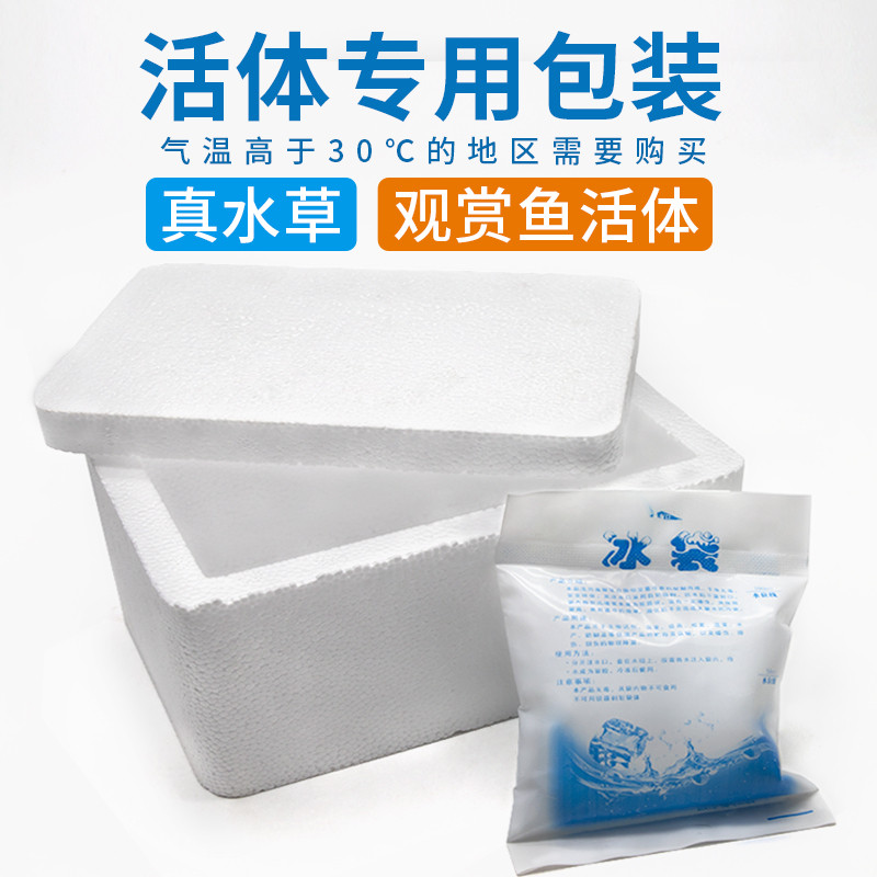 小圆叶水鱼缸水族箱造景装饰品植物前景懒人新手真迷你 默认尺寸 【活体专用泡沫箱】不拍不报损