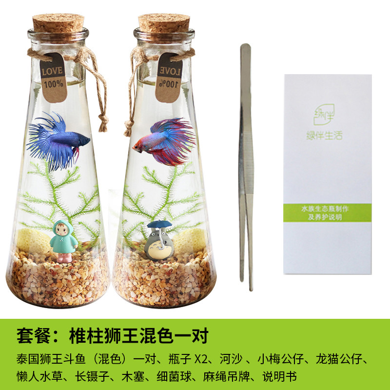 斗鱼生态瓶封闭小鱼瓶免换水瓶装观赏鱼玻璃桌面透明微景观鱼小型_1 默认尺寸 【一对】锥形：狮王
