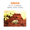 椰砖陆龟箱椰土爬宠垫材乌龟冬眠用品沙子专用土角蛙泥过冬沙沙土 默认尺寸 加湿喷壶1个