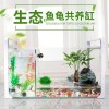 乌龟金鱼鱼缸龟鱼和鱼龟混养缸两用一体生态客厅深水龟小型二合一 默认尺寸 特大号单养缸裸缸（送礼包）