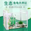 乌龟金鱼鱼缸龟鱼和鱼龟混养缸两用一体生态客厅深水龟小型二合一 默认尺寸 小号单养缸裸缸（送礼包）