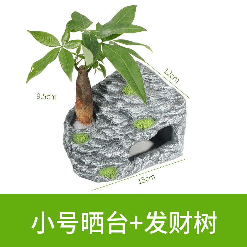 晒台巴西龟缸乌龟晒背台爬梯爬虫造景躲避洞爬坡台爬台石头用品_1 默认尺寸 小号方形晒台+发财树