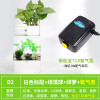 水培植物养鱼缸一体家用塑料创意懒人小型免换水桌面斗鱼专用客厅_1 默认尺寸 白色标配+绿藻球+绿萝+氧气泵