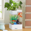水培植物养鱼缸一体家用塑料创意懒人小型免换水桌面斗鱼专用客厅_1 默认尺寸 白色标配+氧气泵