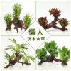 懒人水有茎类鱼缸装饰水榕沉木净化水质的水辣椒榕水族箱_2_159 默认尺寸 【六头】大水榕六头沉木