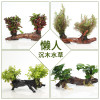 沉木水缸鱼缸装饰造景套餐小水榕类懒人新手真水椒植物_1 默认尺寸 红松尾双头沉木