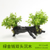 沉木水缸鱼缸装饰造景套餐小水榕类懒人新手真水椒植物_1 默认尺寸 绿金钱双头沉木