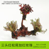 鱼缸装饰造景套餐真水沉木后景缸植物淡水小水榕养鱼懒人_1 默认尺寸 三头红松尾加红玫瑰