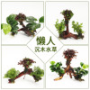 鱼缸装饰造景套餐真水沉木后景缸植物淡水小水榕养鱼懒人_1 默认尺寸 六头绿金钱加红玫瑰